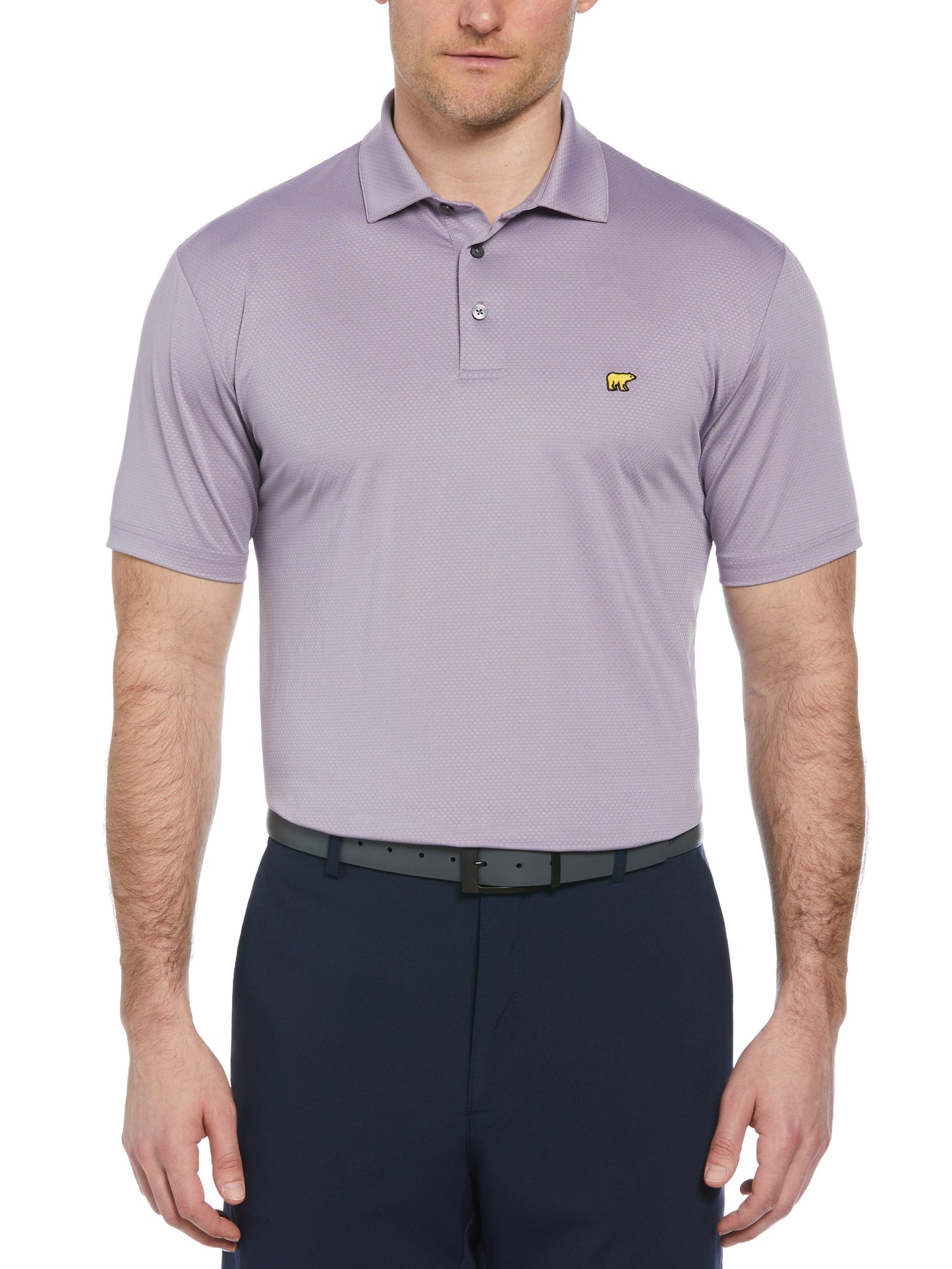Short Sleeve Solid Texture Polo (Lavender Gray)