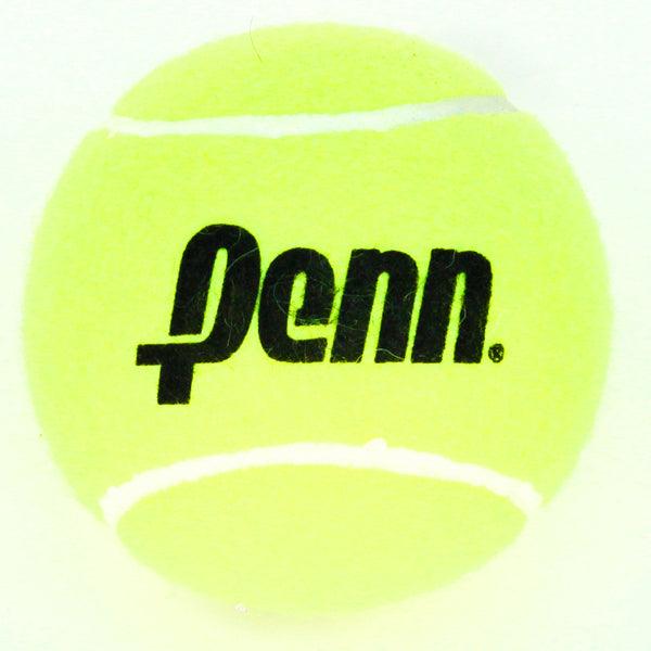 Jumbo 4 Inch Tennis Ball Tennis Balls PENN Yellow